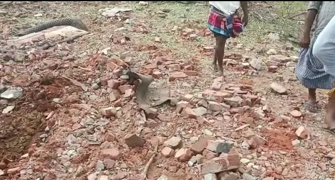 தரைமட்டமான ஆலை