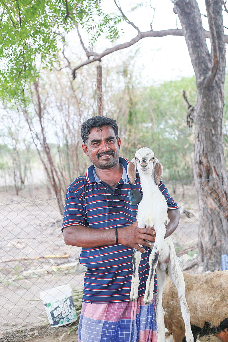 ஆடுகளுடன் பாலசுப்பிரமணியன்