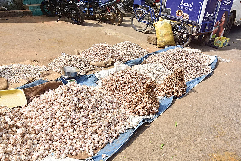 மலைப்பூண்டு