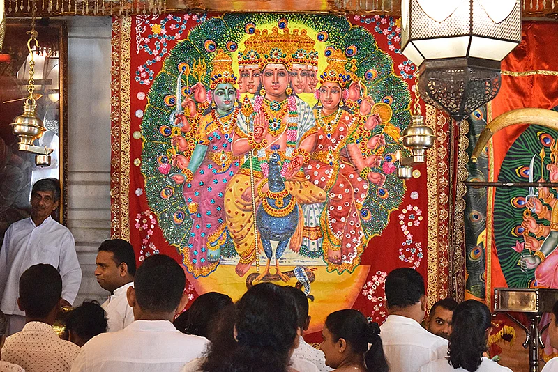 கரடிகள் உருவில் சித்தர்கள்!