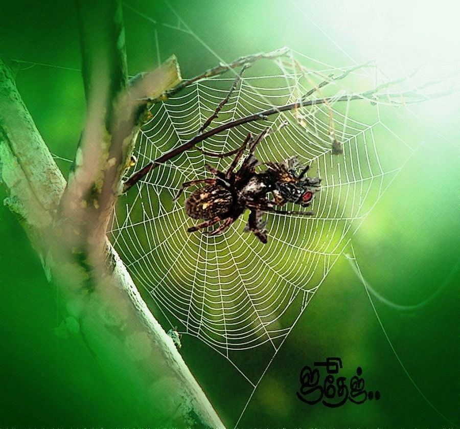 Representational Image