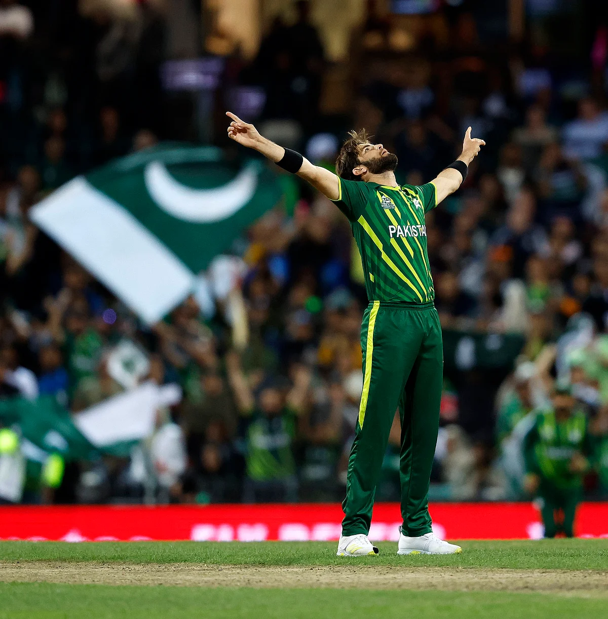 Shaheen