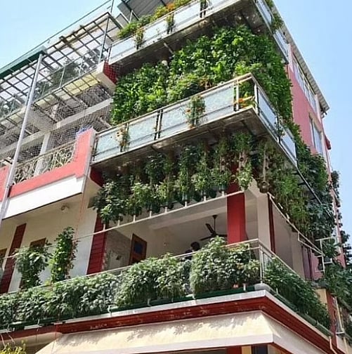 மூன்றடுக்கு மாடிவீடு; ஆண்டுக்கு ரூ.70 லட்சம் ஹைட்ரோபோனிக்ஸ் முறையில் கலக்கும் மாடித்தோட்ட விவசாயி!