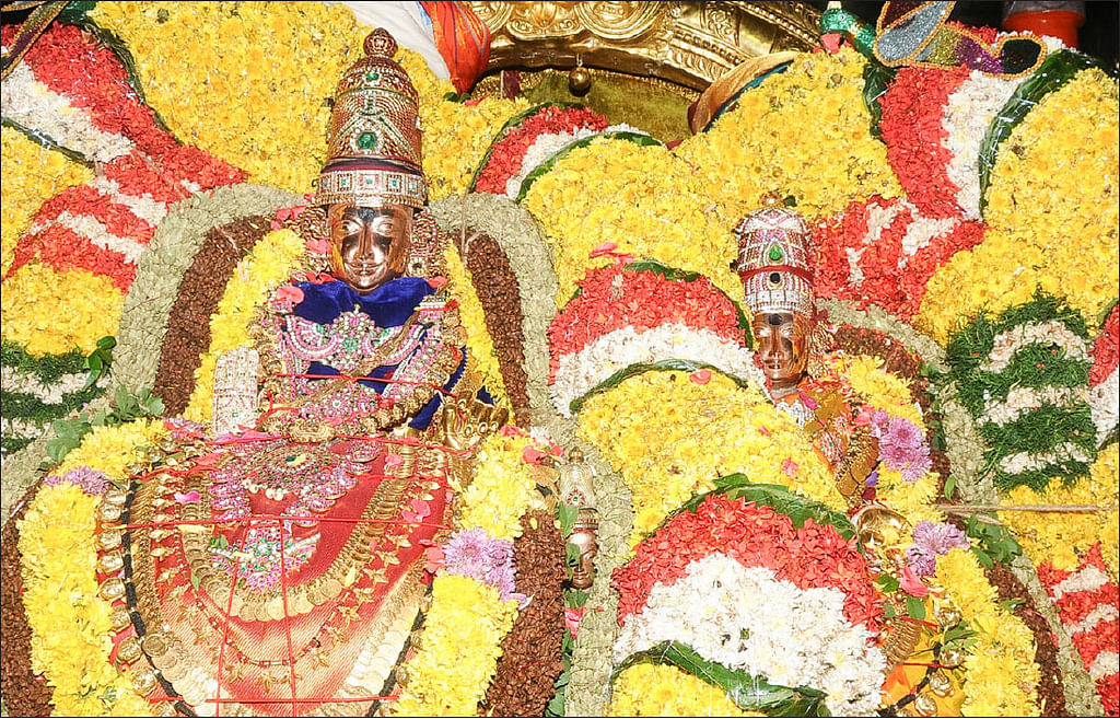 `மண்ணும் நமசிவாயம் மலையும் நமசிவாயம்’ - திருவண்ணாமலை தரிசனம்