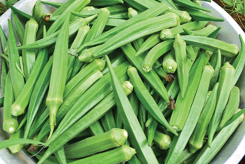 வெண்டைக்காய்
