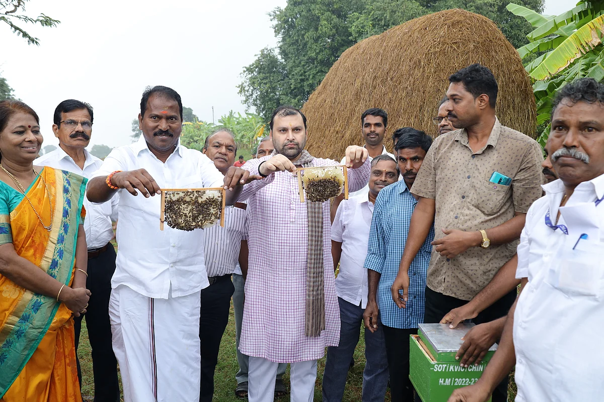 மனோஜ் குமார்