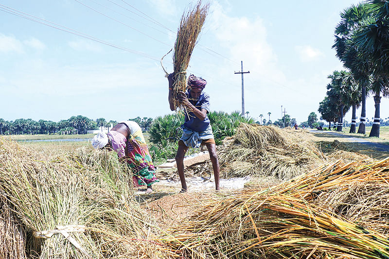 ராமநாதபுரம் மாவட்டத்தில் விவசாயம்