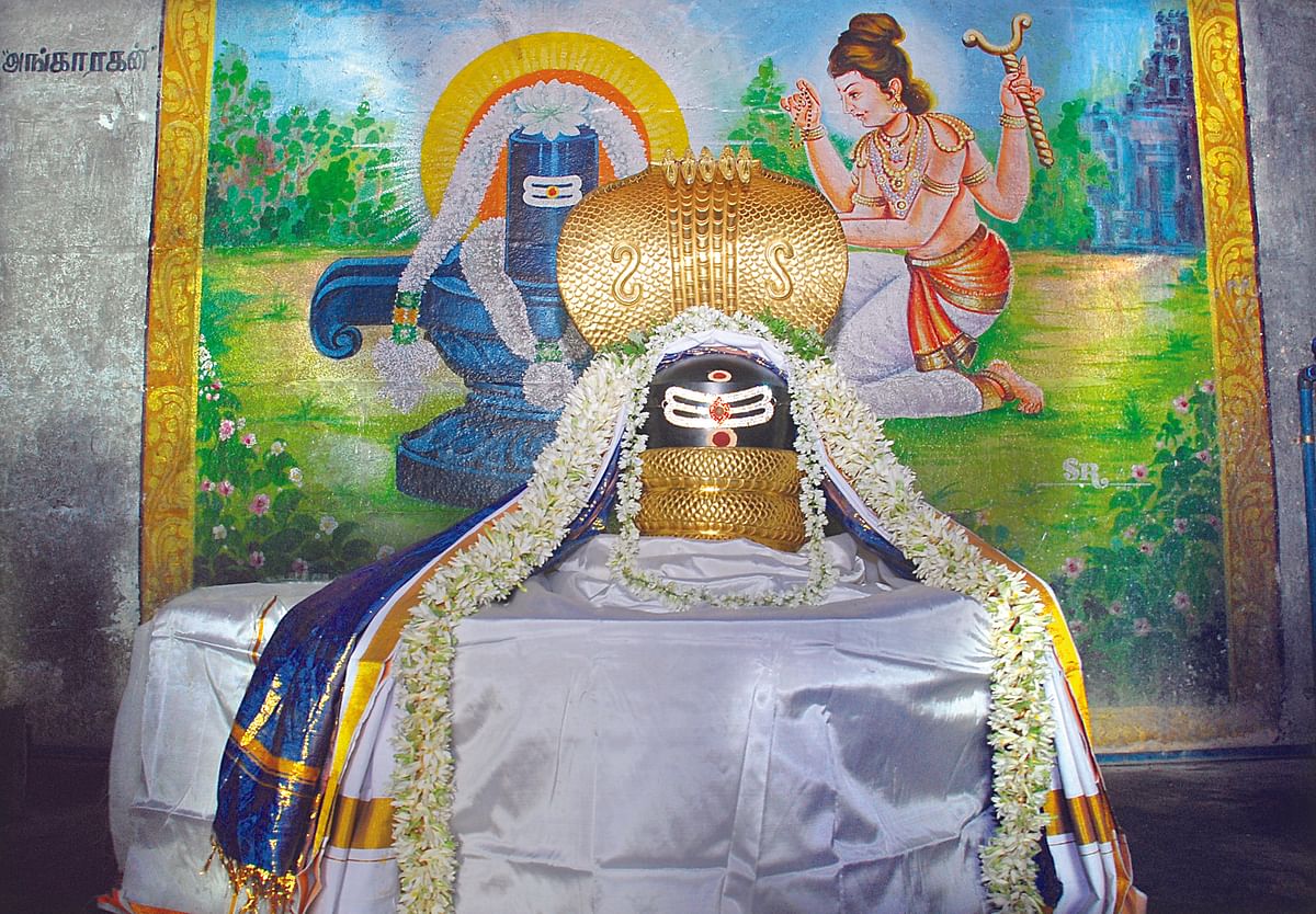 கருடனும் கெடில நதியும்