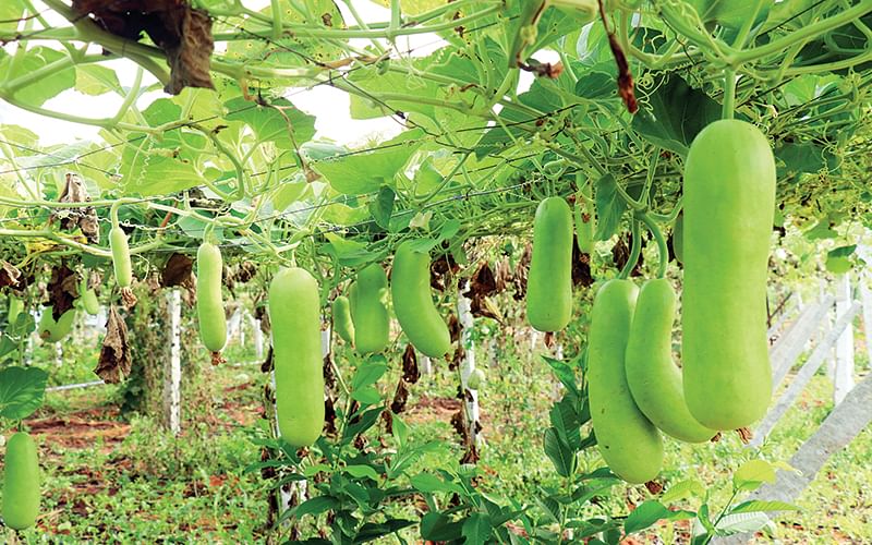 வேளாண் பட்டதாரி இளைஞர்களுக்கு தொழில் தொடங்க ரூ.1 லட்சம் மானியம்!