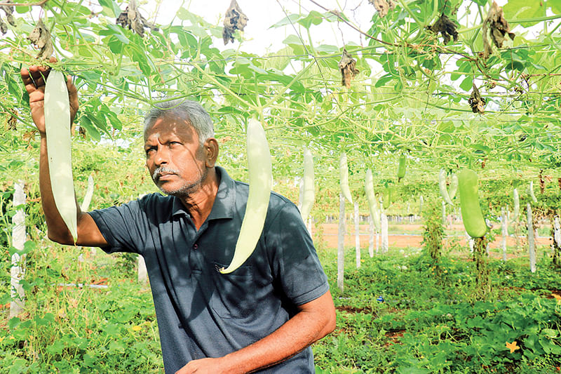 தரணி முருகேசன்