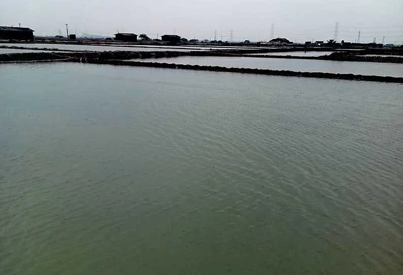 உப்பளங்களை மூழ்கடித்த மழைநீர்