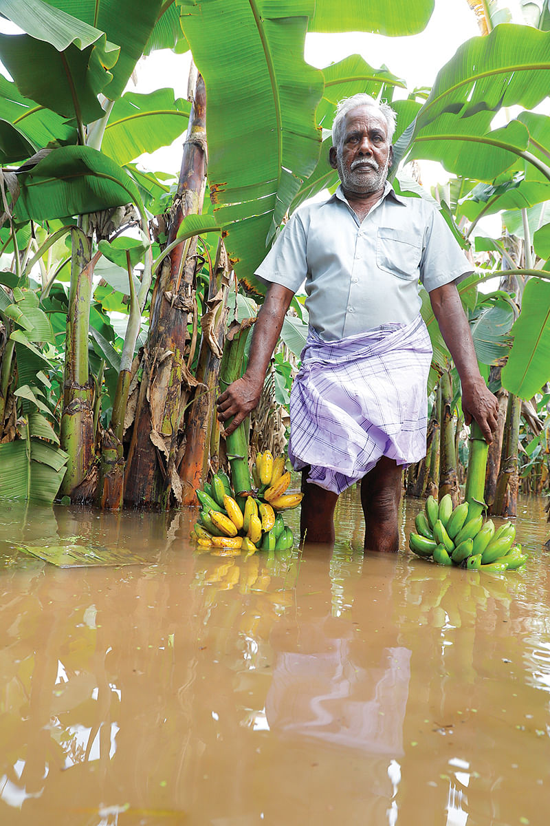 ரவிச்சந்திரன்