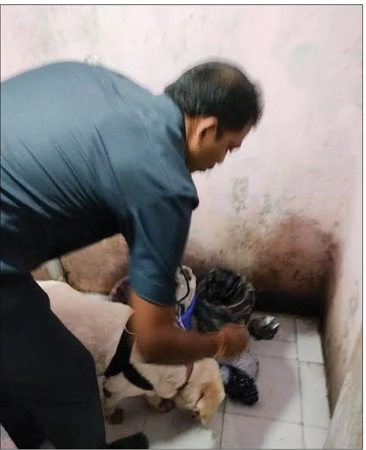 நாட்டு வெடிகுண்டு... பழிக்குப் பழி திட்டம்...போலீஸில் சிக்கியது எப்படி?