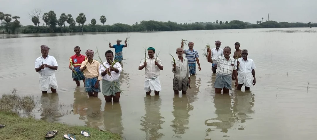 மழை