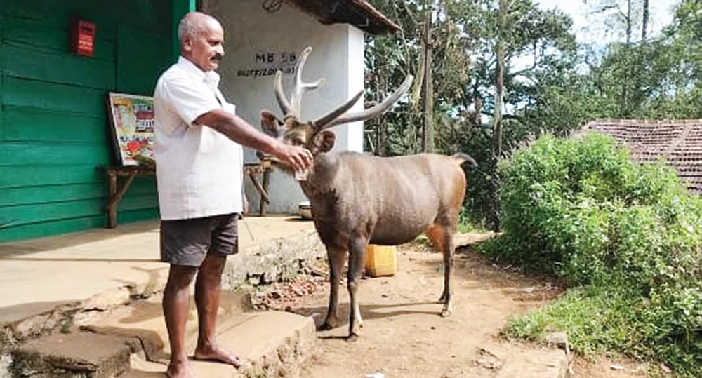 இன்பாக்ஸ்