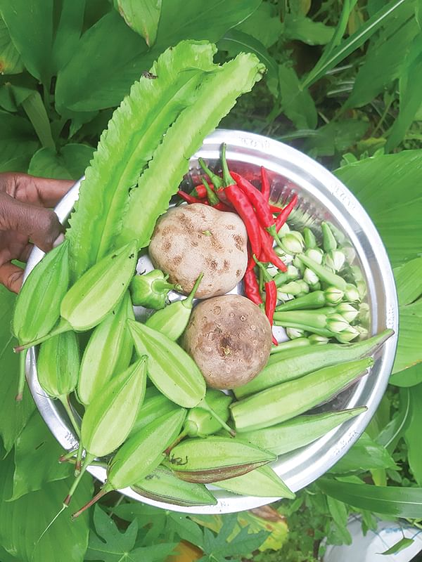 மாரத்தான் மனிதர்கள் - 10 - ‘‘நமக்கான அரண் விதைகள்தான்!’’