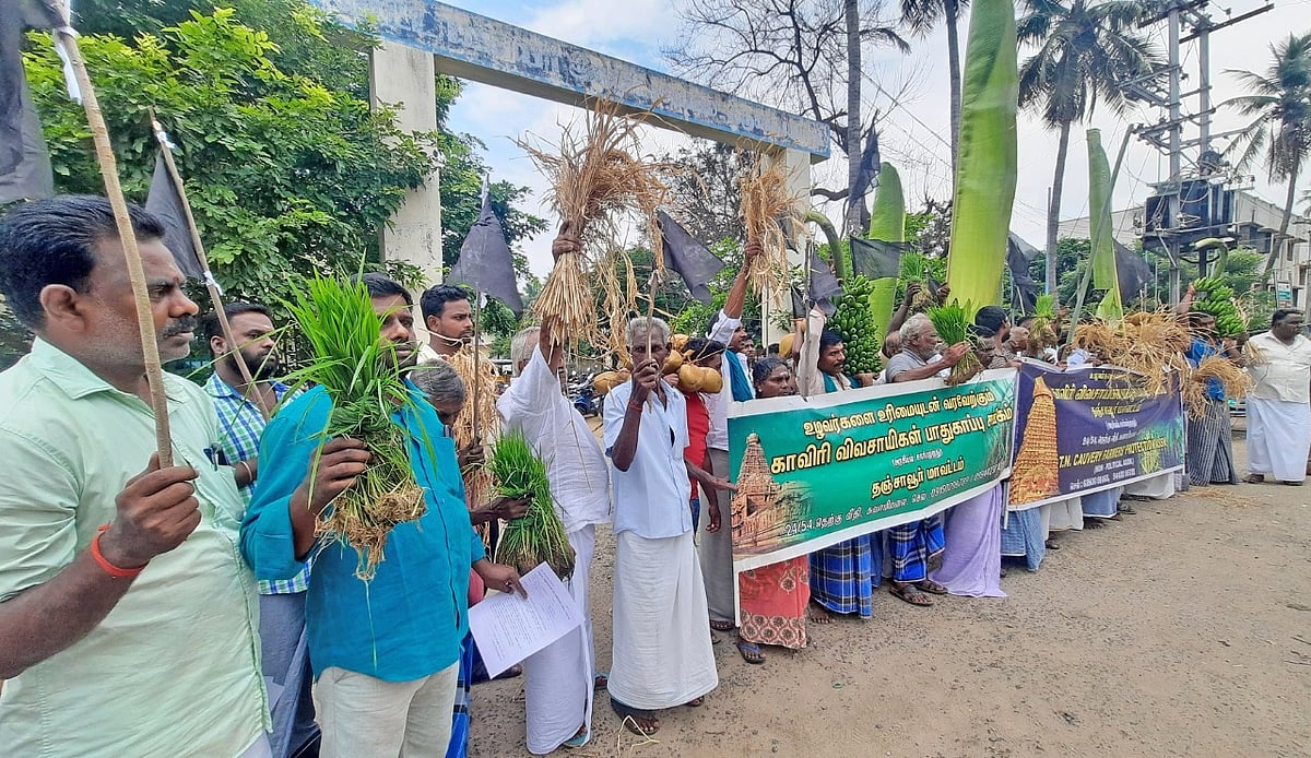 ``விளை நிலத்தில் புறவழிச்சாலை” வாழை இலை, தார், நெற்கதிர்களுடன் தஞ்சை விவசாயிகள் போராட்டம்!