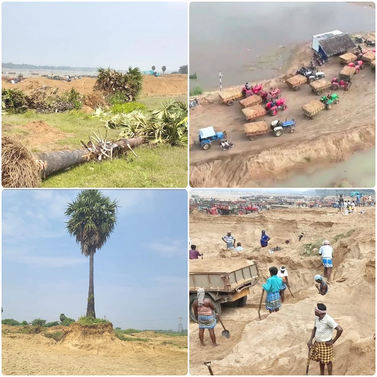 வேலூர் பாலாற்றின் தற்போதைய நிலை