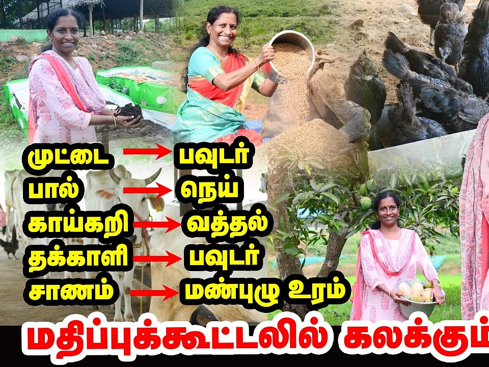 உரத்துக்கு ஒரு பைசாகூட செலவு கிடையாது... மதிப்புக்கூட்டலில் கலக்கும் பெண்!