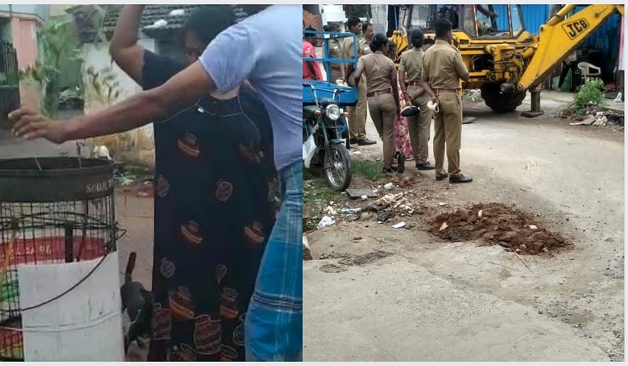 ``மரத்தை உடைத்தது நான்தான், ஆனால்..!