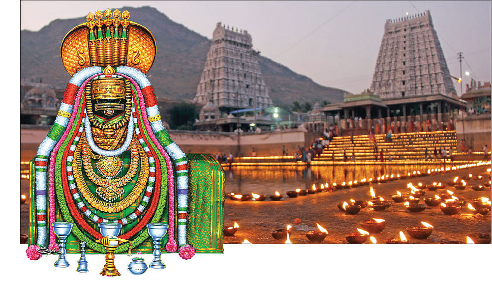 `மண்ணும் நமசிவாயம் மலையும் நமசிவாயம்’ - திருவண்ணாமலை தரிசனம்