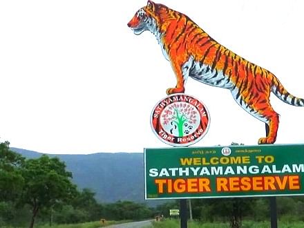 சத்தியமங்கலம்; வனவிலங்குகள் கணக்கெடுப்பு டிச. 2 -ல் தொடக்கம்!