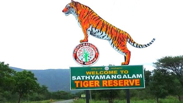 sathyamangalam tiger reserve