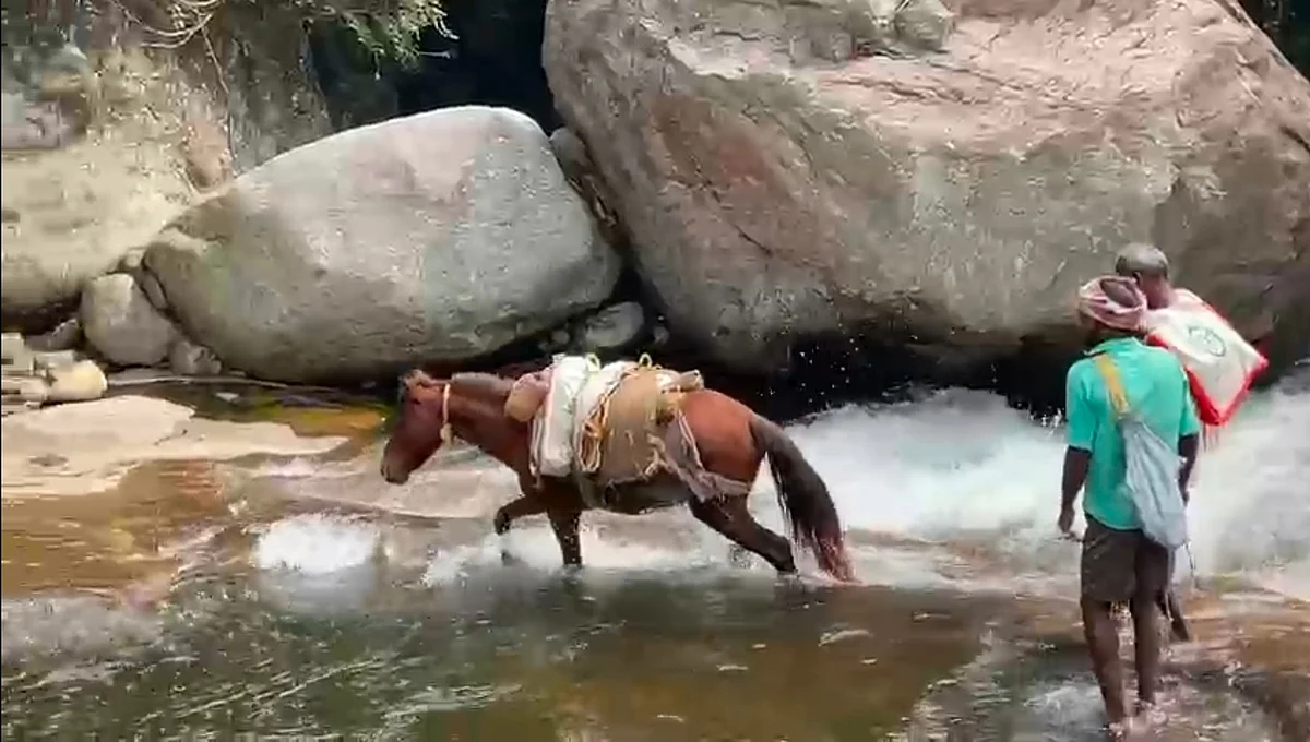 ஓடையைக் கடக்கும் பழங்குடி மக்கள்
