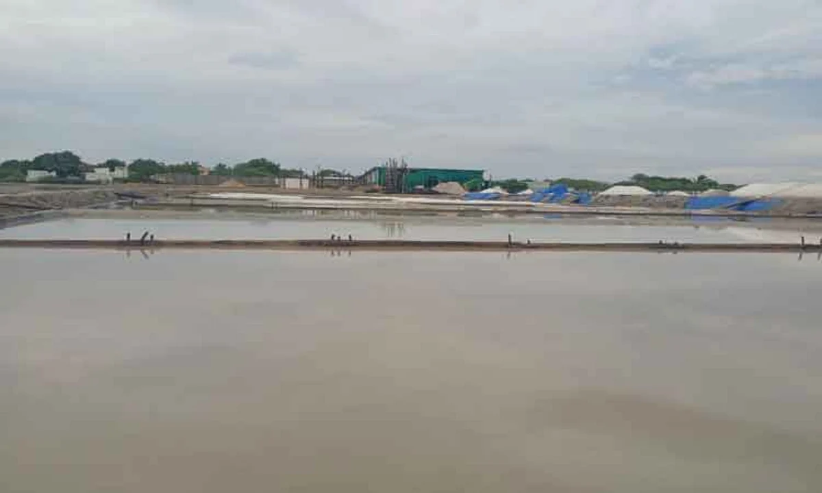 உப்பளங்களில் தேங்கிய மழைநீர்