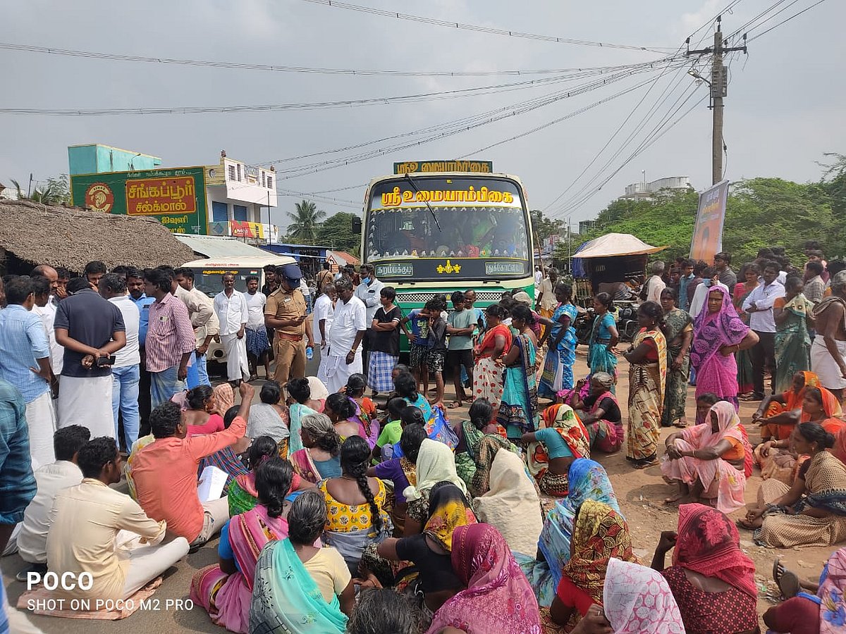 புதுக்கோட்டை: தைலமரக்காட்டுக்குள் கிடந்த இளம்பெண் சடலம்... பாலியல் வன்கொடுமை செய்து கொல்லப்பட்டாரா?