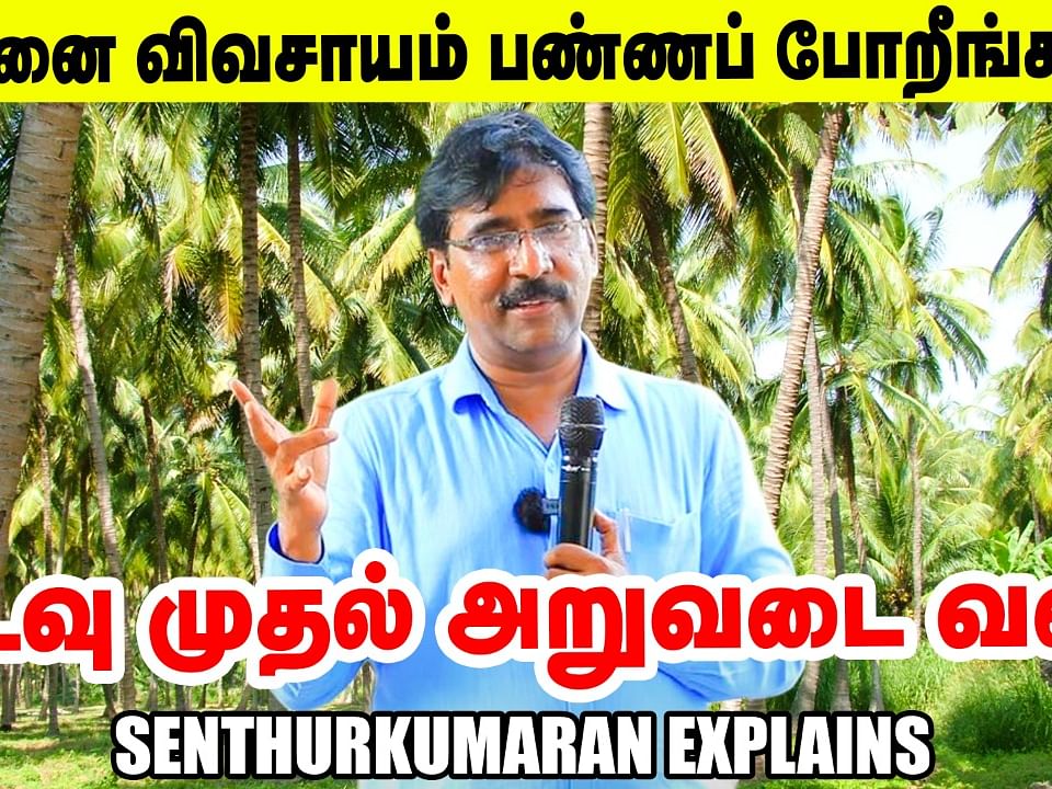தென்னை விவசாயம் பண்ணப் போறீங்களா? அப்போ இந்த வீடியோவை தவிர்க்காம பாருங்க!
