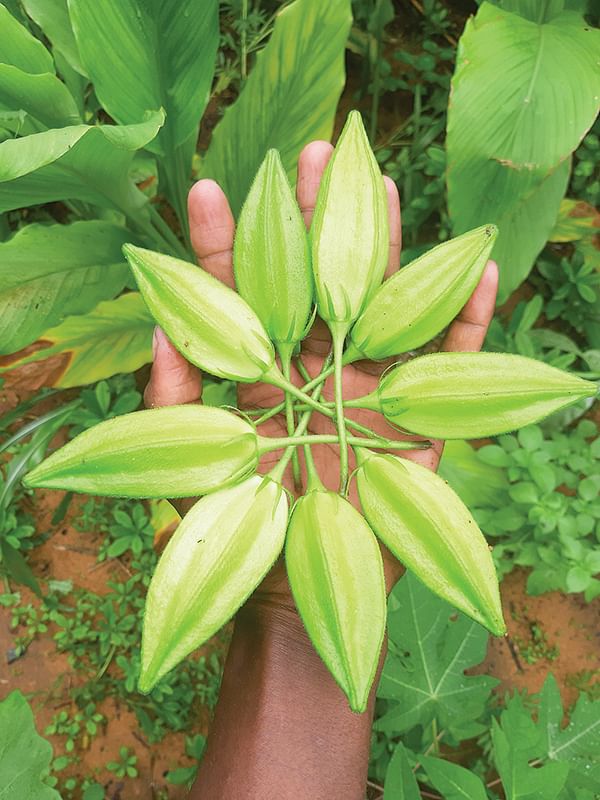 மாரத்தான் மனிதர்கள் - 10 - ‘‘நமக்கான அரண் விதைகள்தான்!’’