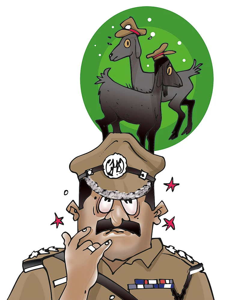 ஜூனியர் வாக்கி டாக்கி