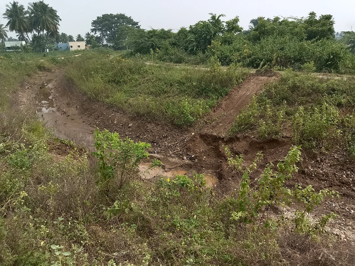 தண்ணீர் திறப்பில்லாததால் வறண்டுபோன வாய்க்கால்.