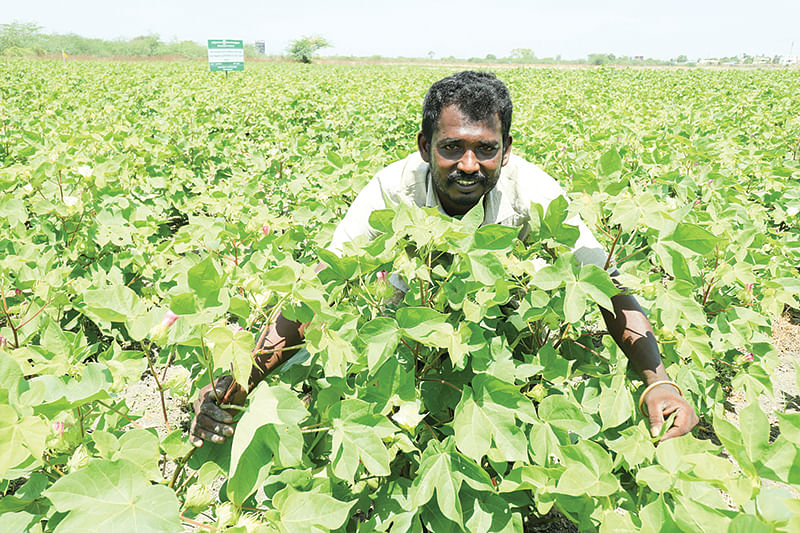 ராமநாதபுரம் மாவட்டத்தில் விவசாயம்