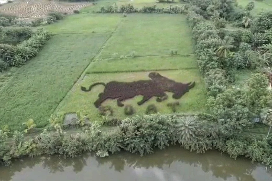 காளை வடிவில் இயற்கை விவசாயம்