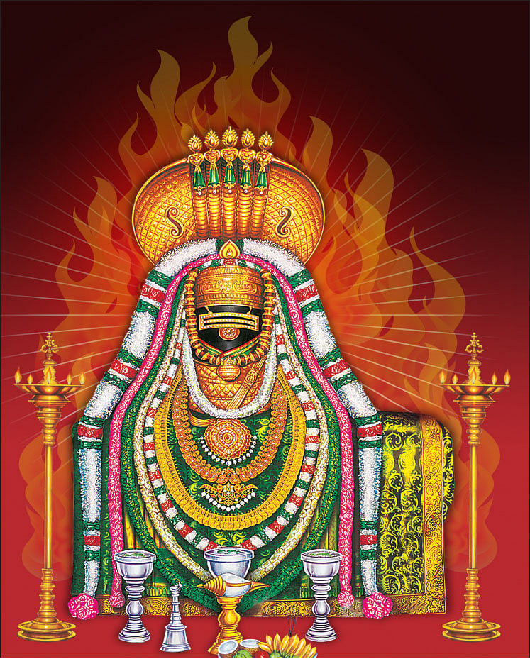 `மண்ணும் நமசிவாயம் மலையும் நமசிவாயம்’ - திருவண்ணாமலை தரிசனம்