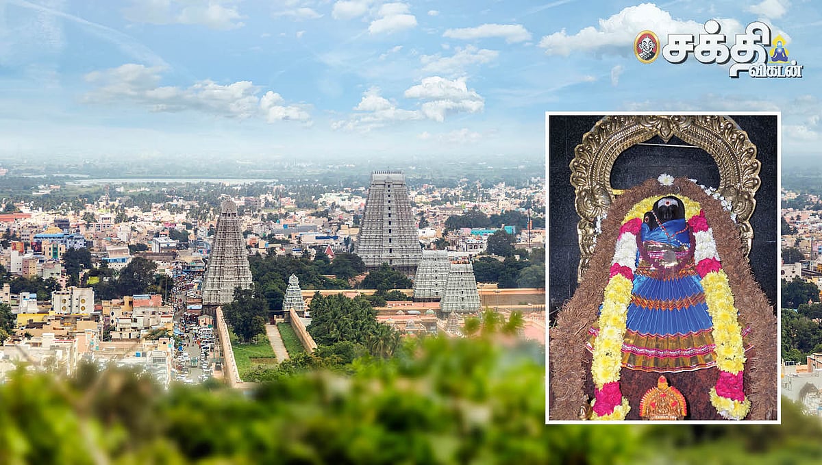 ஆயுஷ் ஹோமம்: சகல வேண்டுதல்களும் நிறைவேற்றும் ஆயுஷ் ஹோமம் திருவண்ணாமலையில்! நீங்களும் சங்கல்பியுங்கள்