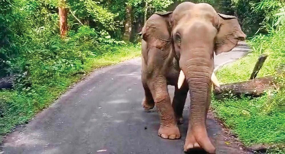 இன்பாக்ஸ்