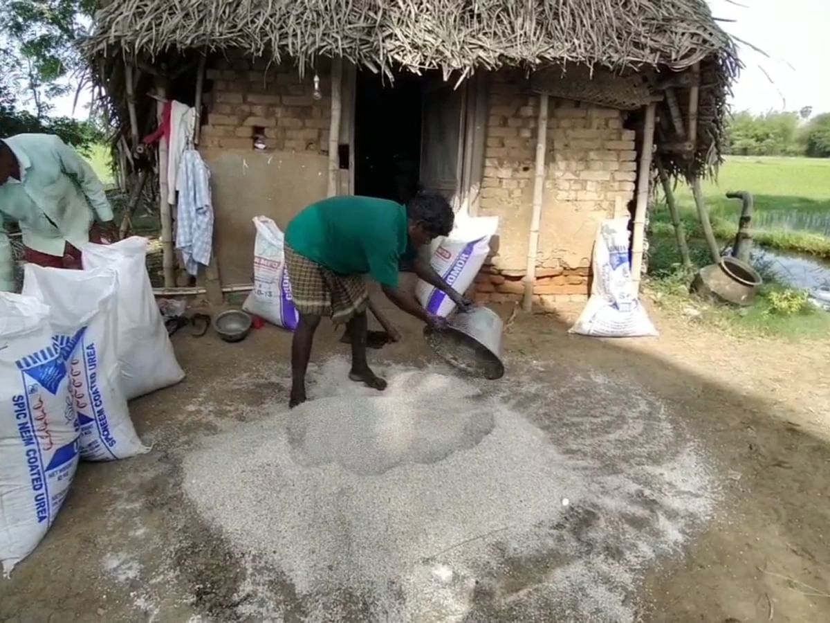 வேகமெடுக்கும் சாகுபடி பணிகள்; உரத் தட்டுப்பாடு அவதியில் விவசாயிகள்!