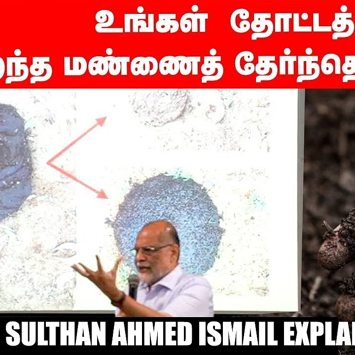 மண்