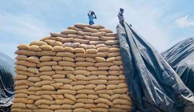 நெல் கொள்முதல்