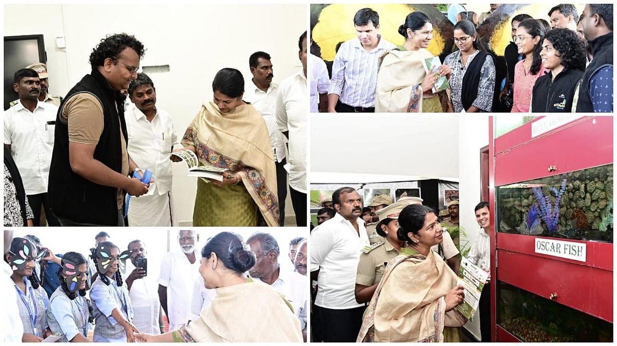 வல்லநாடு சரணாலயத்தில் 
தொடங்கிய `வண்ணத்துப்பூச்சி திருவிழா’  சூழல் ஆர்வலர்கள் மகிழ்ச்சி!