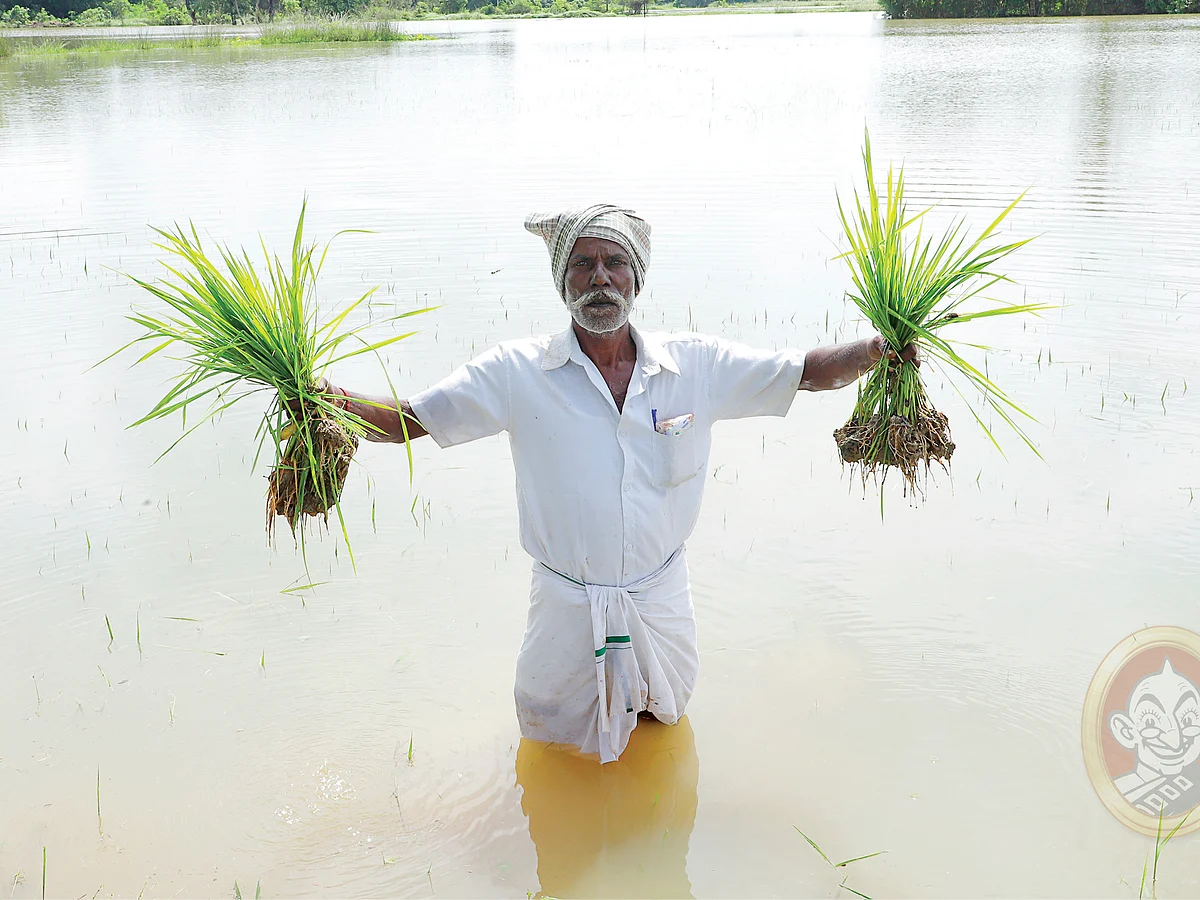 “கொஞ்சம் அசந்திருந்தால் எங்கள் பிணம்தான் ஒதுங்கியிருக்கும்” - துயரத்தில் மயிலாடுதுறை மக்கள்