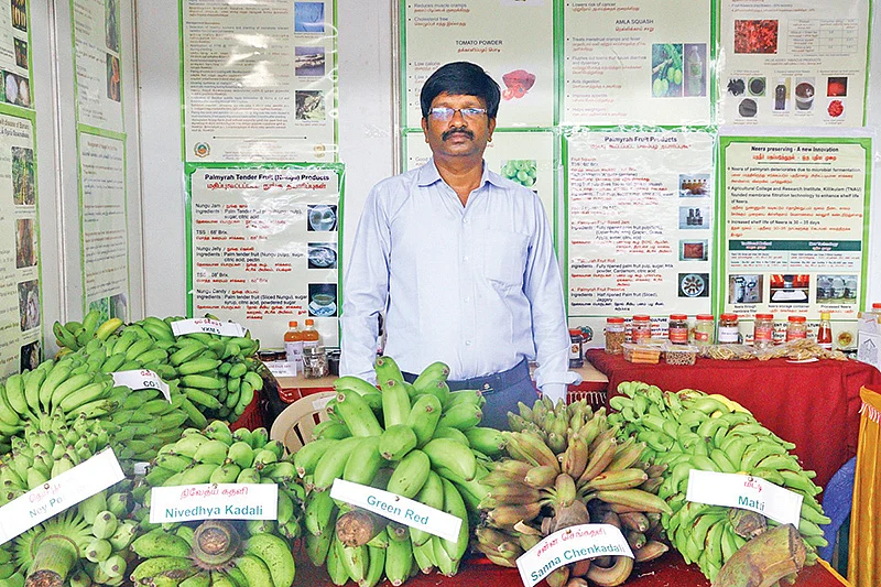 கண்காட்சியில் வாழை ரகங்கள்