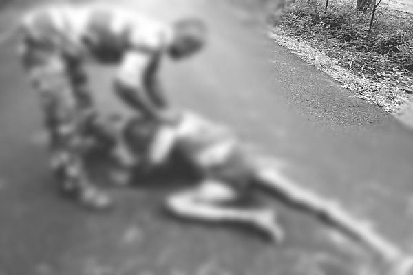 தென்காசி: கரடி தாக்குதலில் சிக்கிய மூவர்... இருவருக்கு பார்வை பறிபோகும் ஆபத்து - நடந்தது என்ன?