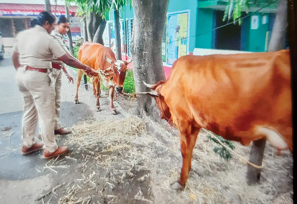லோக்கல் போஸ்ட்