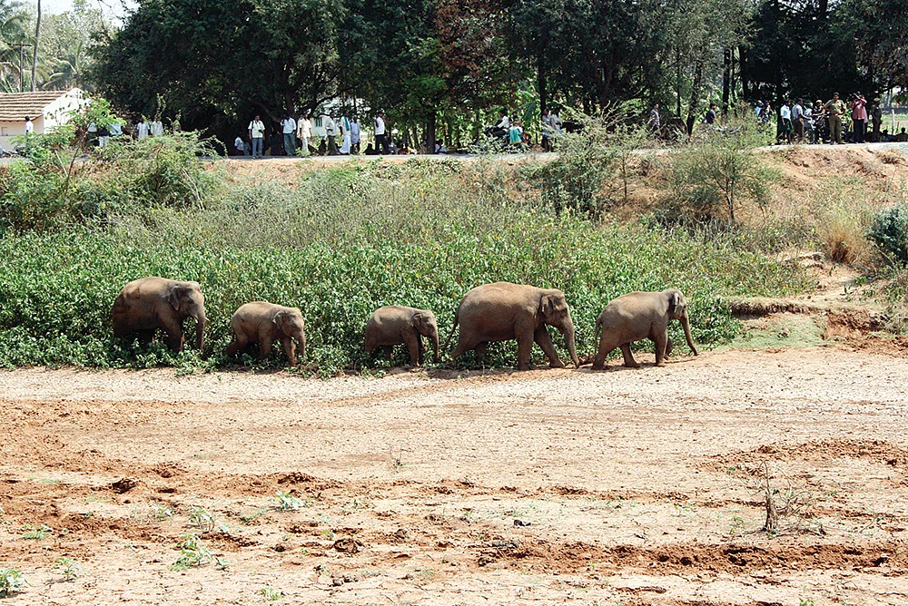 இன்பாக்ஸ்