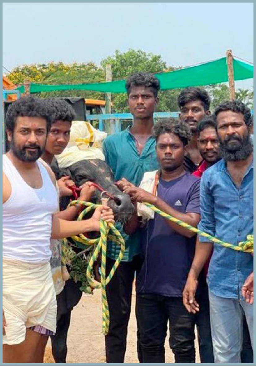 Vetrimaaran: பாயுறதுக்கு ரெடி!