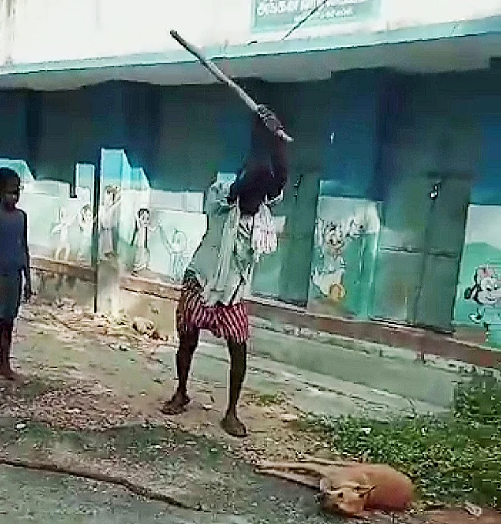 தாக்கிக் கொல்லும் காட்சி